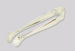 Sugar Tongs Shell Design - 18/8 Bright Stainless Steel