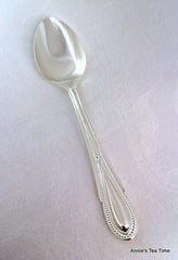 Teapot Demispoon Stainless Steel, Set of 4, 4.5 inches long